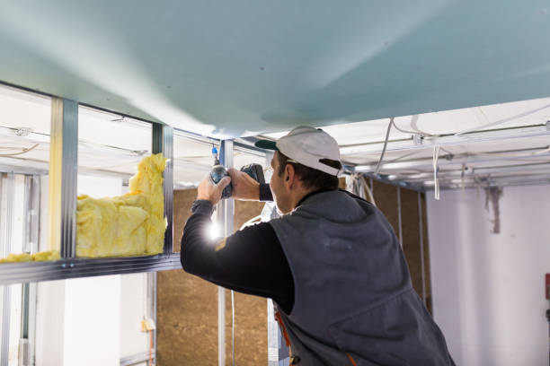 Best Eco-Friendly Insulation in Nashua, NH